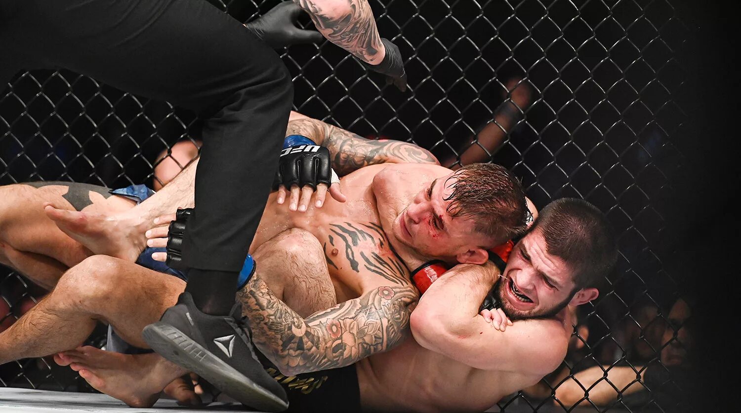 Hard fighting