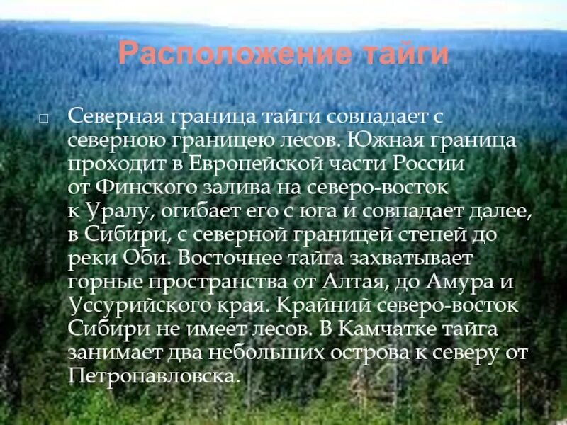 Доклад о тайге. Презентация Тайга России. Граница тайги в России. Доклад о Тайе.