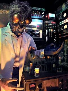 The fly guy
