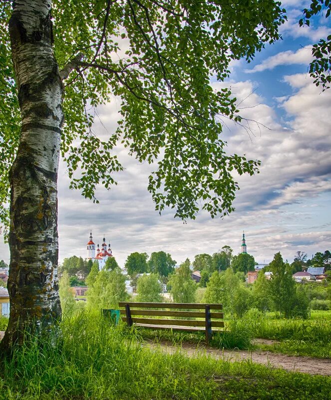 Береза русская душа. Березовая роща и Церковь пейзаж. Троица храм купола березы. Русь Березки храм. Россия лес речка храм Березки.