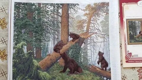 Золотое руно бор