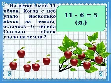 Сколько яблонь можно