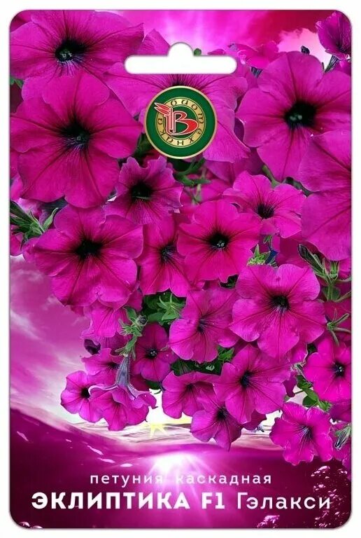 петуния эклиптика f1 стардаст, биотехника. петуния каскадная эклиптика f1 милки вей. петуния эклиптика f1 стардаст биотехника ц. петунии эклиптика f1 вега. петуния эклиптика f1 парпл гэлакси биотехника ц.