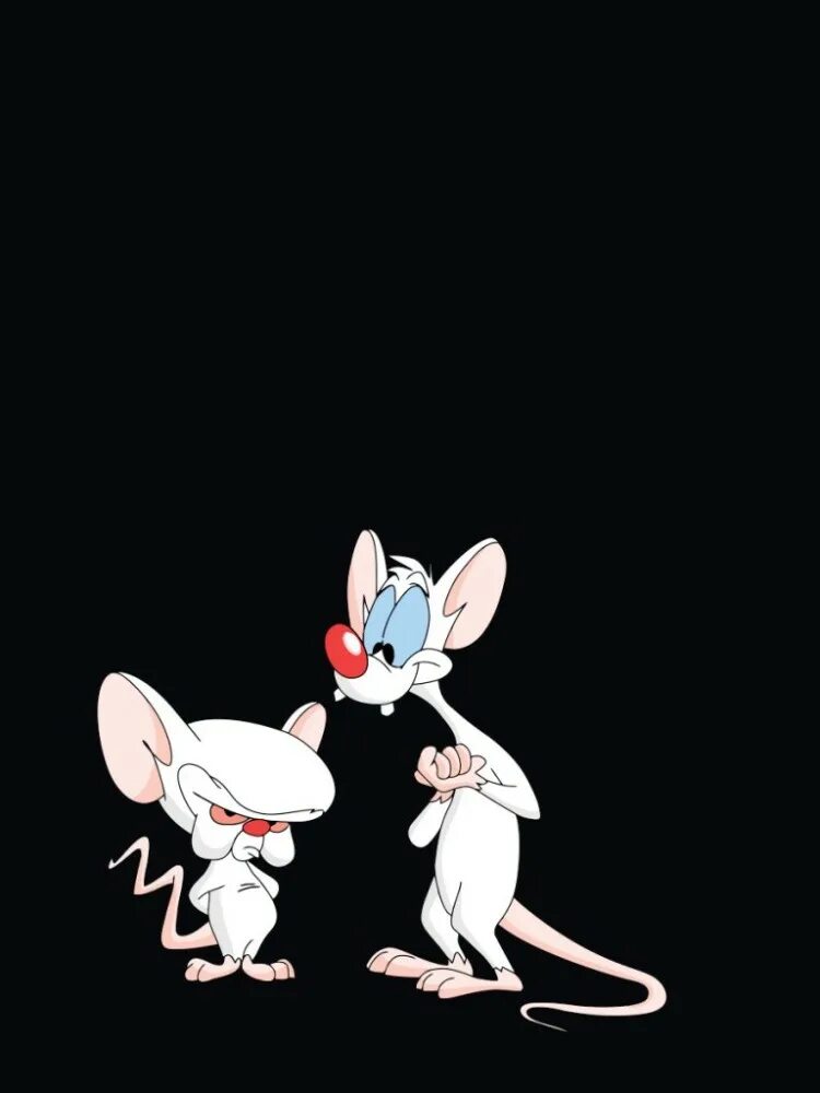 Pinky and brain. Пинки и Брейн герои. Пинки и Брейн Билли. Пинки и Брейн девочка.