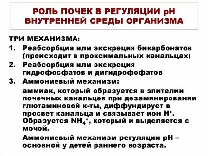 Почечная регуляция