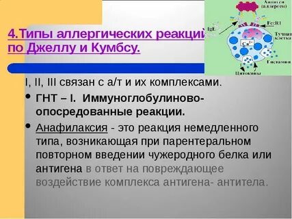 Иммунный 4 отзывы