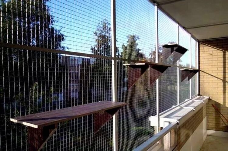 Москитная сетка зообарьер. Сетка антикошка на балкон. Вольер антикошка. Сетка металлическая на балкон.