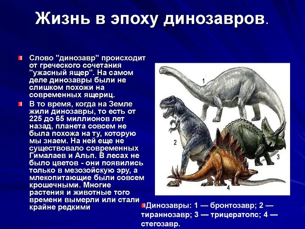 Рассказ про динозавров для 1 класса. Доклад про динозавров. Рассказать про динозавра. Рассказ про динозавров. Древние пресмыкающиеся динозавры.