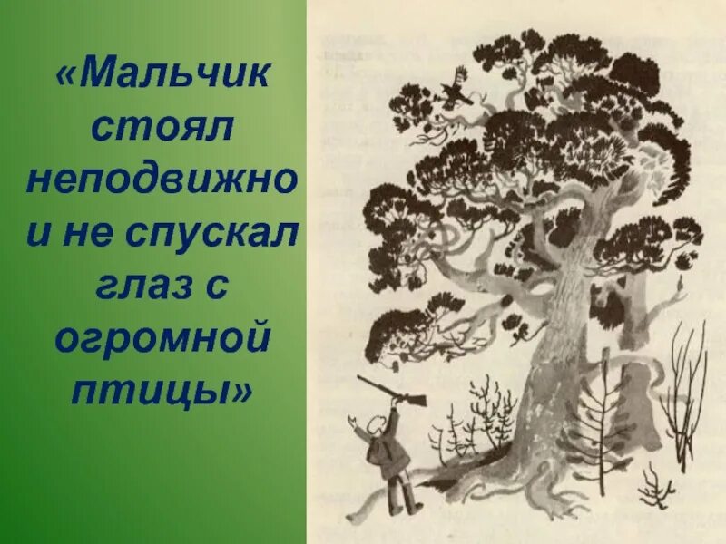 Картинки васюткино озеро 5. Иллюстрация к рассказу Васюткино озеро 5. Васютка рисунок. Васютка иллюстрация к рассказу.