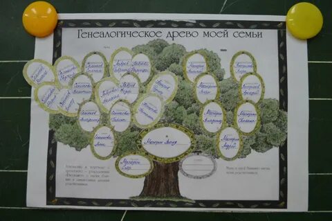 Родословное древо 3
