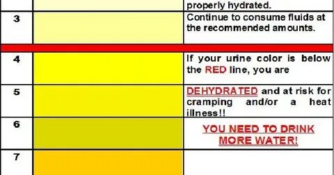 8 Signs That You Are Not Drinking Enough Water