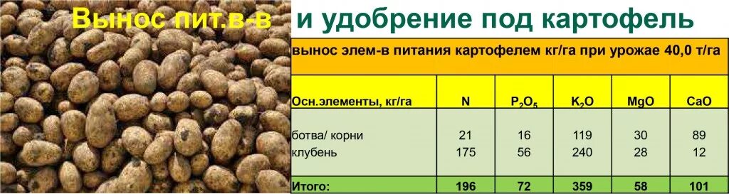 Схема внесения удобрений для картофеля. Таблица внесения удобрений для картофеля. Нормы внесения Минеральных удобрений под картофель. Норма внесения удобрений на 1 га картофеля.