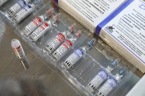 Вакцинация нижний
