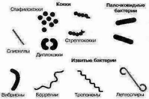 Когда нельзя лечить баланопостит - YouTube