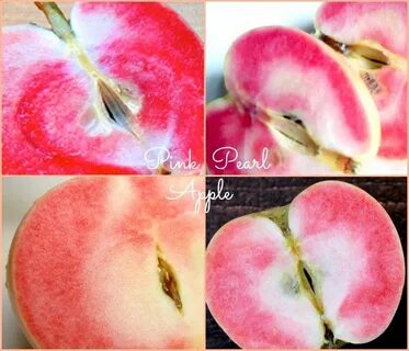 Apple pearl