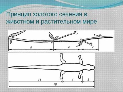 Принцип золотого