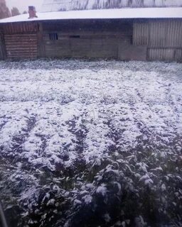 Когда выпадет 1 снег