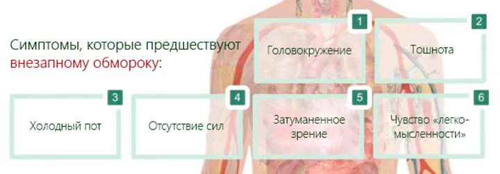 Симптомы повышенного кортизола у мужчин