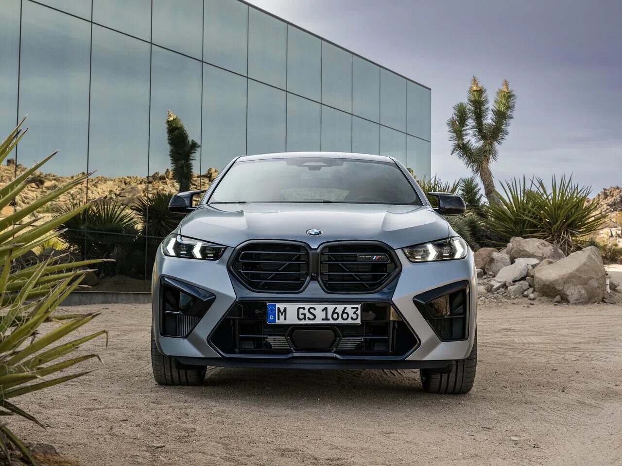 Bmw m 2024. БМВ x6m Competition 2023. BMW x6m 2024. BMW x6m Competition 2024. БМВ x6 m 2023 x6m Competition.