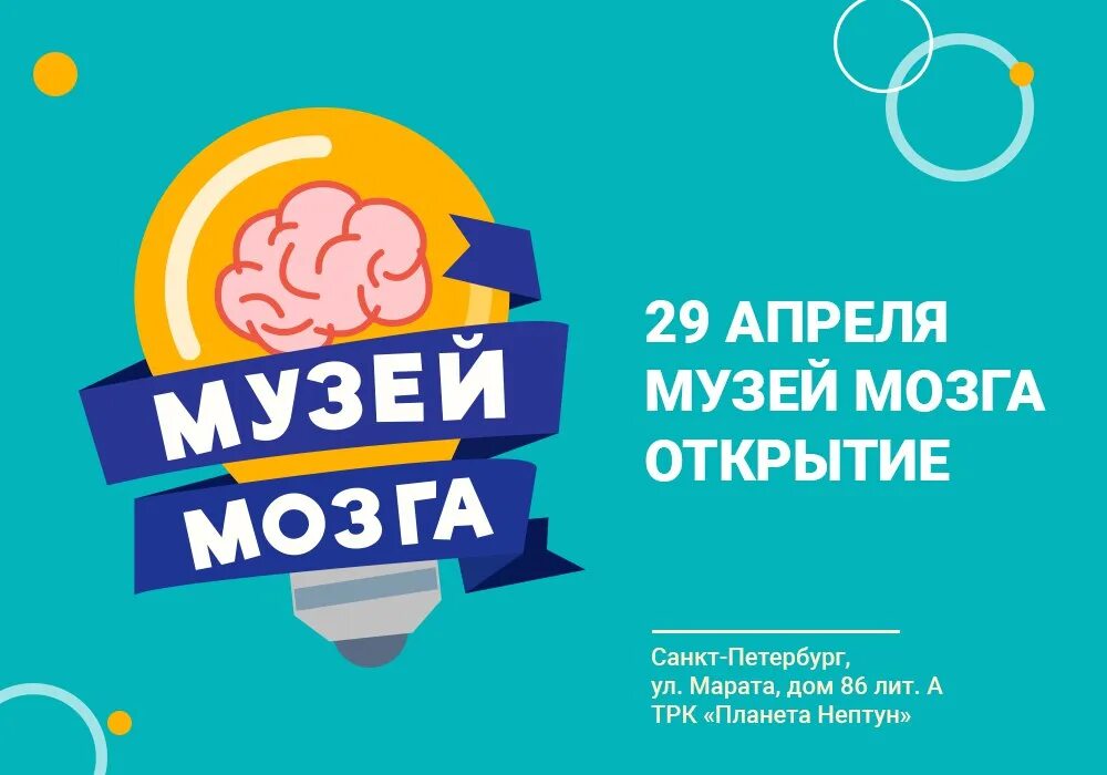 Музей мозга. Музей мозга в Петербурге. Музей мозга Нептун. Музей мозга СПБ Марата.