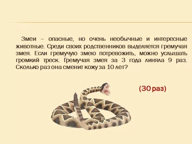 Рассказ змейка. Рассказ о гремучей змее. Рассказ про гремучую змею. Рассказ о гремучей змее кратко. Загадка про гремучую змею.