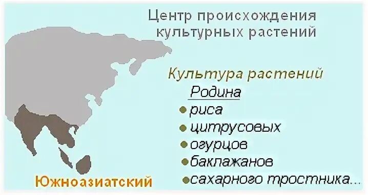 Южно азиатский центр происхождения культурных растений. Юго Западный центр происхождения культурных растений. Абиссинский центр происхождения культурных растений на карте. Южноазиатский тропический центр происхождения культурных растений. Восточноазиатский центр происхождения культурных