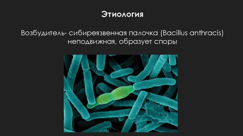 Особо опасные возбудители