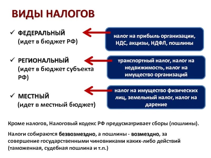 Налоги Обществознание 11 класс. Налоги ЕГЭ Обществознание. Виды налогообложения. Виды налогов Обществознание.