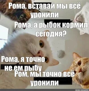 Встаньте встань встанем встали открыли открыто