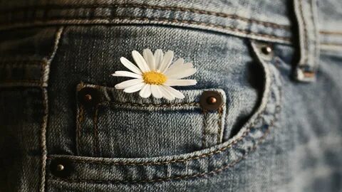 Are your jeans
