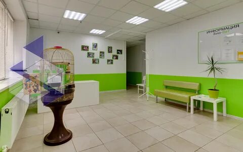 Био вет