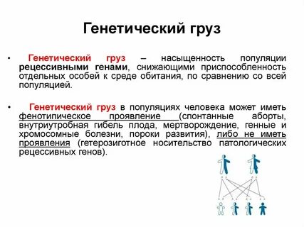 Генетический груз это