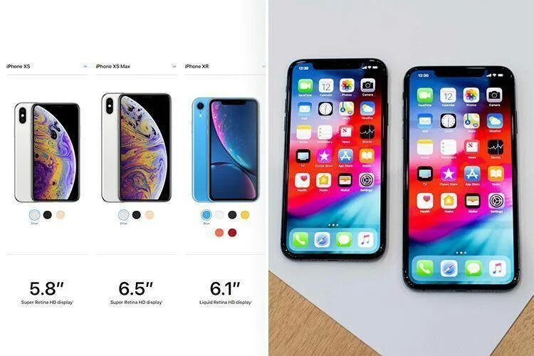 Айфон x XR XS. Айфон x XS XR сравнить размер. Apple iphone 13 Mini и XR. Айфон ХС хр 10. Сравнение айфона x