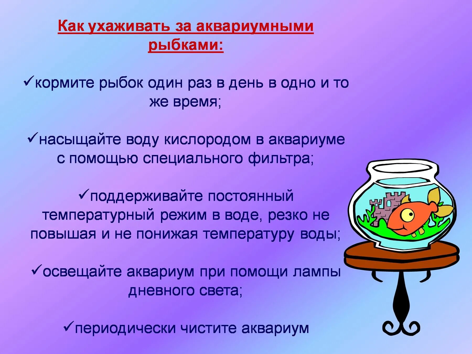 Как ухаживать за аквариумными. Памятка по уходу за рыбками. Как ухаживатоь зае рыбами в аквариуме. Памятка по уходу за аквариумными рыбками. Как ухаживать за рыбами памятка.