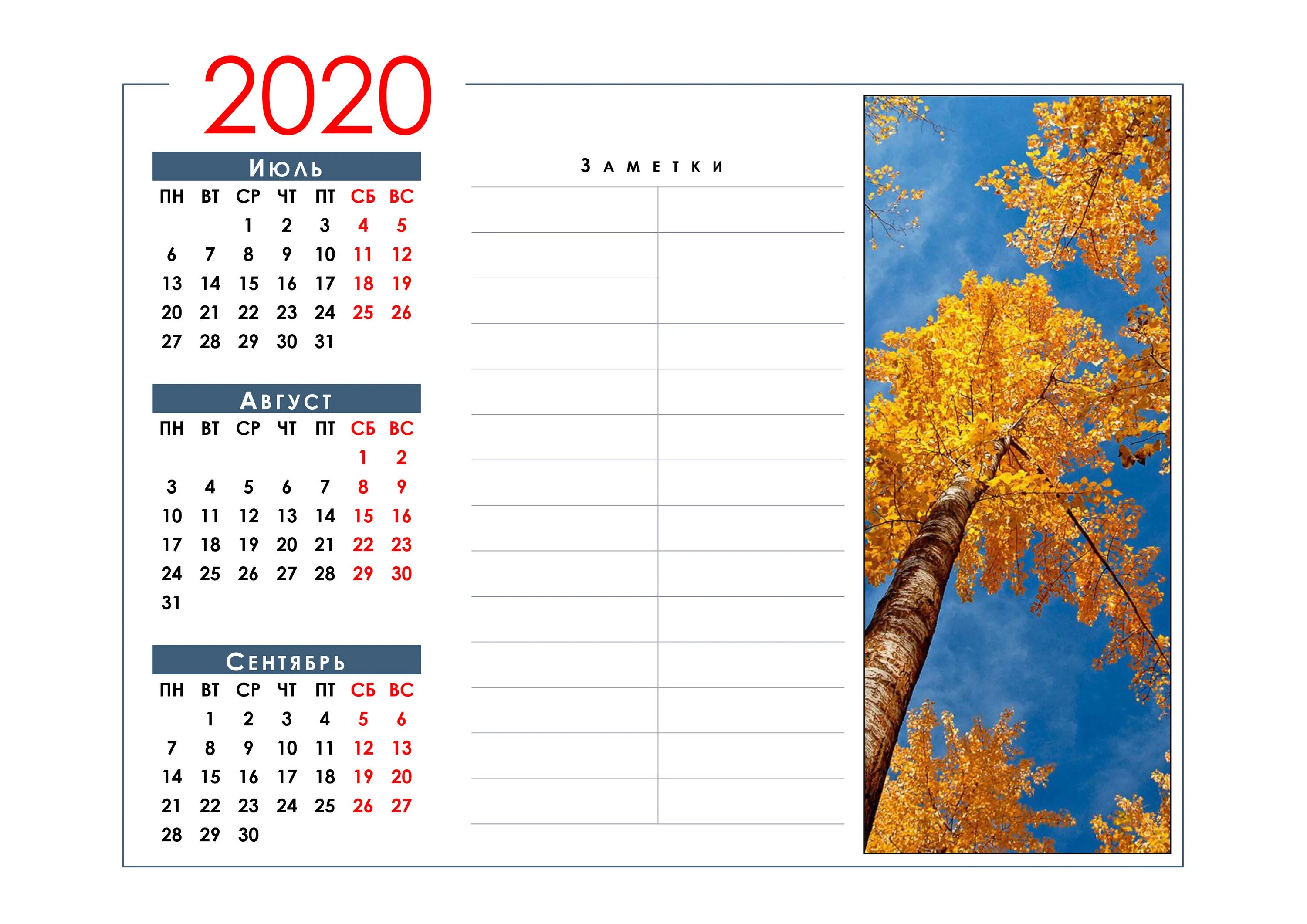 Календарь на ноябрь 2023. Календарь лето. Календарь август сентябрь 2021. Календарь июль. Календарь июль август.