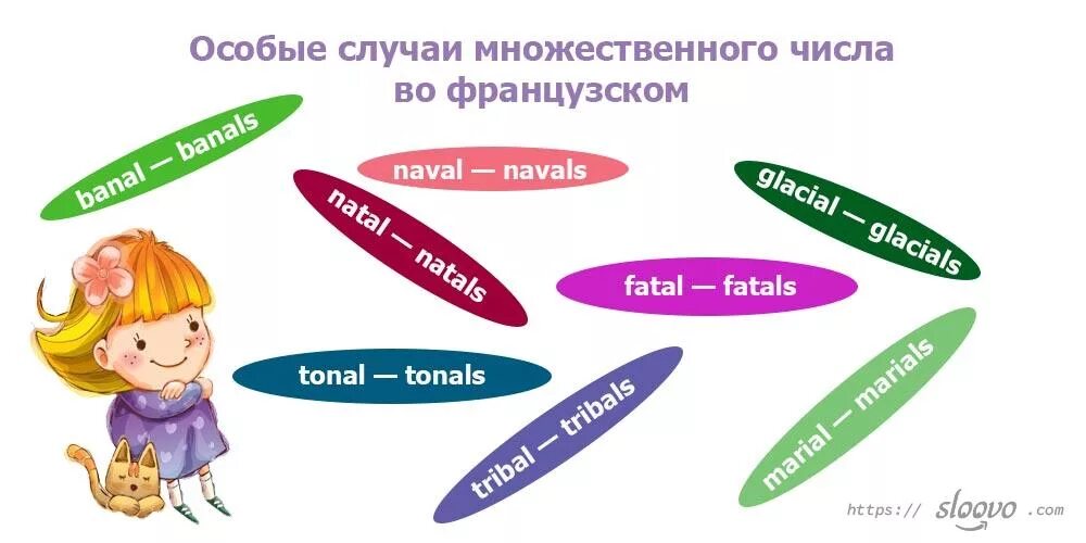 Француз прилагательное. Множественное число прилагательных во французском. Множественное число прилагательных во французском языке. Прилагательные во множественном числе французский. Французский язык прилагательные множественного числа.