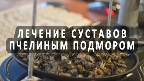 Подмор пчелиный для суставов
