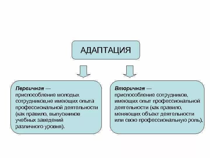 Специалисты имеющие опыт работы