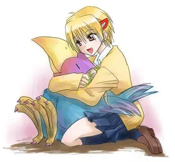 Яко несть
