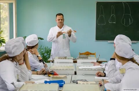 Анатомия бгму