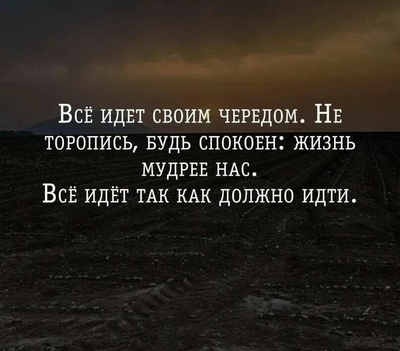Все говорят живу не так как надо. Все так каа должн о быть. все так как должно быть цитата. все будет как должно быть цитаты. все идет своим чередом.