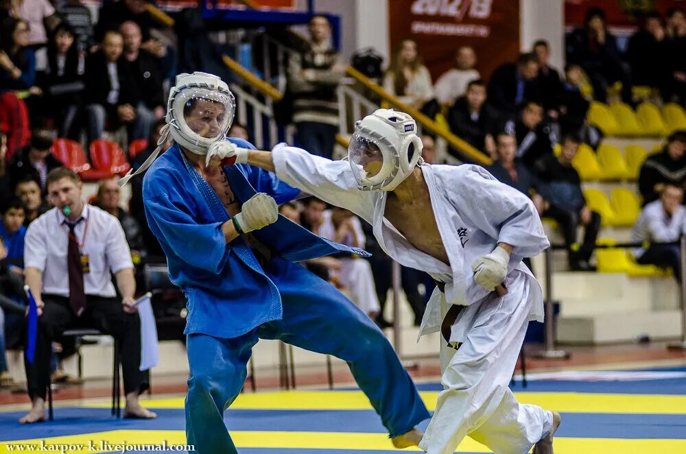 что такое кудо