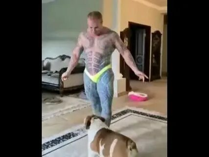 Видео шпака с паниным