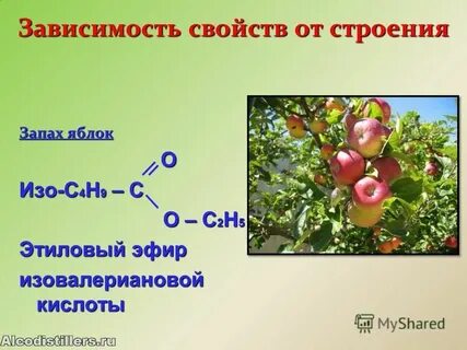 Масляно этиловый эфир