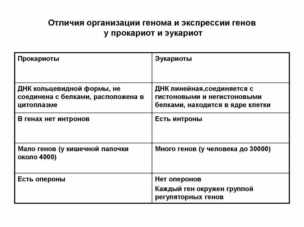 Сравнительная характеристика организация генов прокариот и эукариот. Сравнение строения генов прокариот и эукариот. Сравнительная характеристика генов прокариот и эукариот. Отличие генома эукариот и прокариот таблица.