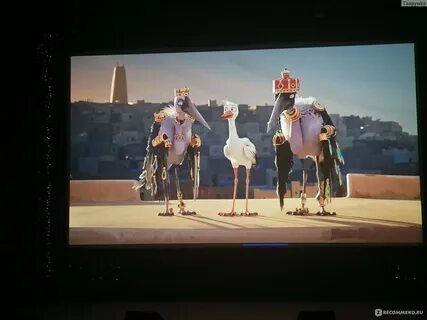 Трио в перьях 2023