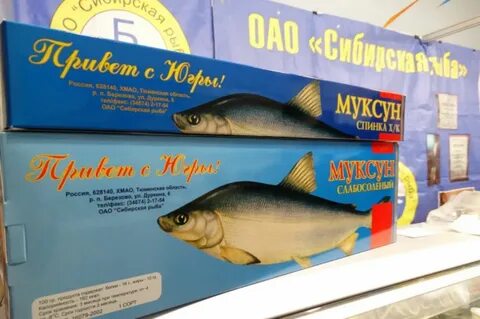Муксун хмао