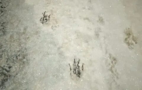 Атаковали нижегородскую область
