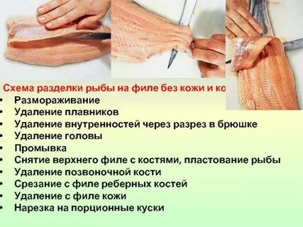 Кожа фили
