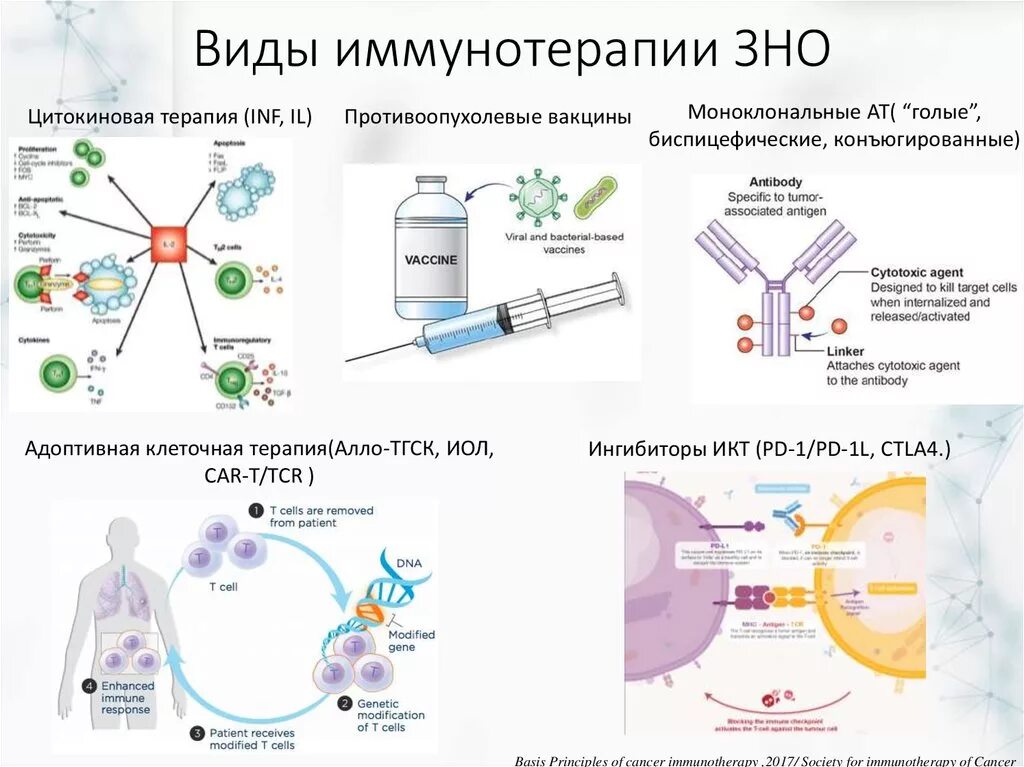 Специфическая иммунотерапия иммунология. Препарат моноклональных антител для иммунотерапии ЗНО. Механизм АСИТ иммунология. Виды иммунотерапии.